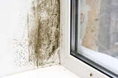 Mold growth on a wall near a window.