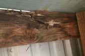a rotted roof board