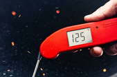 Thermapen ONE Food Thermometer Review