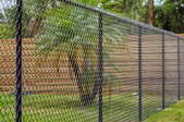 chain link and wooden fences in a green yard