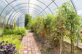 greenhouse with plants and a brick walkway