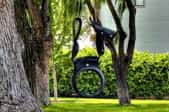 Horse tire swing. Photo by Tom Check https://www.flickr.com/photos/tombothetominator/