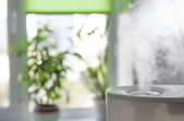 humidifier next to a plant in front of a window