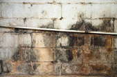 Mold grows on a leaky foundation wall.
