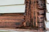 Dry rot on the side of a house.