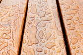 How to Clean and Maintain a Wooden Porch