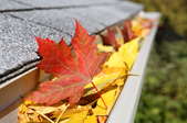 Choosing Gutters and Drainage Supplies for Your Home
