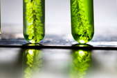 green bubbles in glass vials