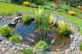 Koi pond in a landscaped yard