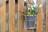A wooden fence with a bucket of flowers hanging from it.
