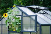 Choosing the Right Greenhouse Heater