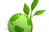 Green Solutions for Businesses