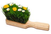 A hand broom with grass and daisies. 
