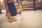 Spraying the carpet with a light detergent to clean a stain.
