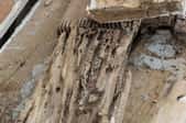 Termite trails in old, rotted wood.