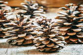 A grouping of pinecones on a wood surface. 
