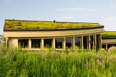 A green roof on a building.