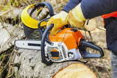 person with safety gloves and chainsaw by cut tree