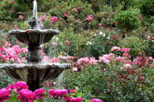 Tiered fountain in a flower garden