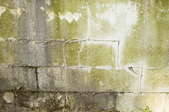 mold  on a cement block wall
