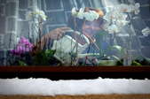 Looking through a snowy window at a smiling woman watering white orchids on the window shelf.