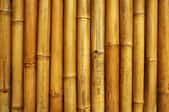 A bamboo fence.
