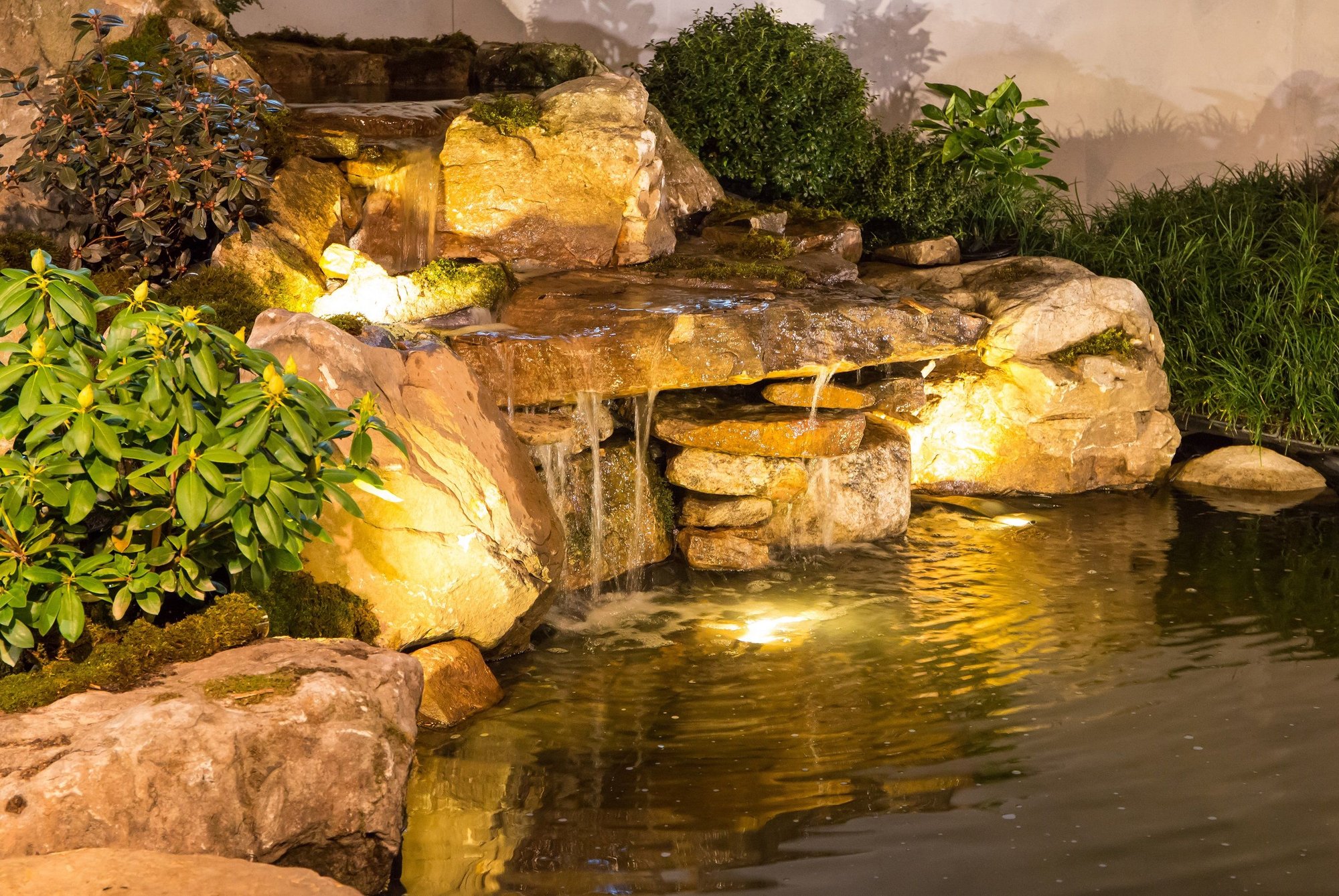 5 Things to Know About Pond Lighting