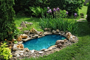 Garden pond surrounded by rocks and landscaping