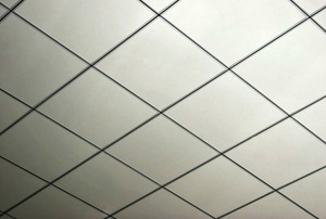 A background of suspended ceiling tiles.