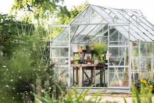 greenhouse
