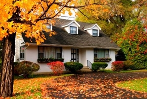 A single-family house among trees and autumn fallen leaves.
