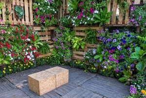 A garden.