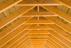 roof rafters that are not insulated