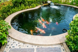 A pond.