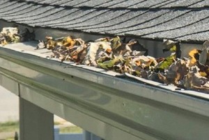 gutter with leaves