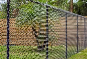 A chain link fence.