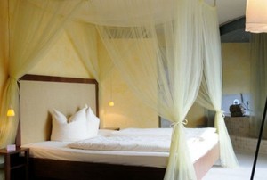 sheer canopy around a bed
