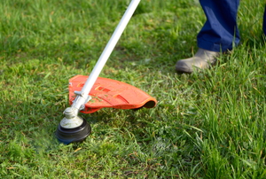 A weed whacker trimming grass in a lush yard.