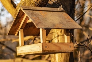 wood bird feeder