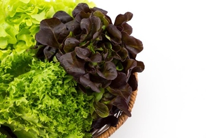 A bowl full of different types of lettuce