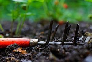 A garden fork laying on black dirt with its tines pointing upward.