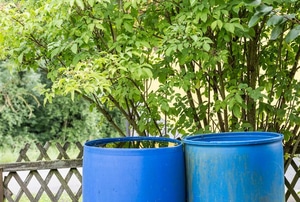 Two blue barrels with trees in the background