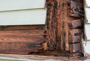 Dry rot on the side of a house.