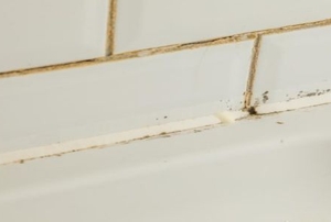Old grout in creamy white bathtub tile