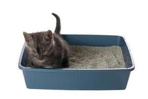 Using the Litterbox