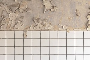 Paint peeling off a bathroom wall.