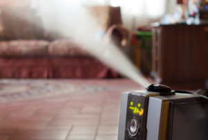 Maintain moisture levels in your home with a humidifier.