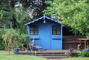 A blue shed surrounded by trees. 