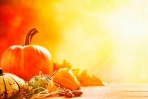 A Thanksgiving motif featuring pumpkins and gourds.