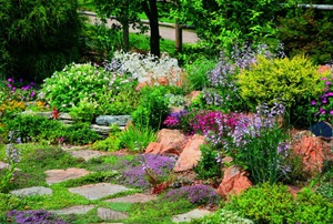 A landscape featuring edible plants.